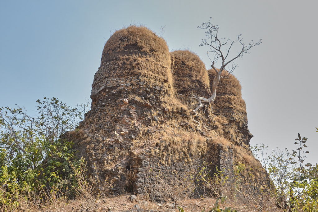Mandu - Monumental Remains
